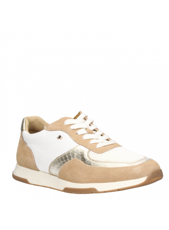 Zapatilla Mujer G263 Pollini