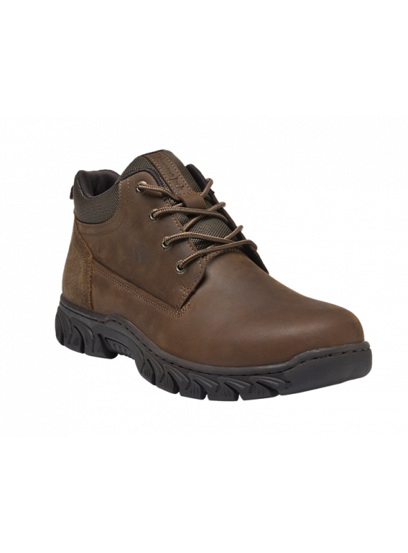 Zapato Hombre H655 PANAMA JACK café