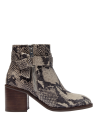 Botin Mujer H278 POLLINI animal print