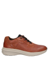 Zapato Hombre J102 16 HRS café