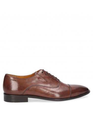 Zapato Hombre L605 Gino café