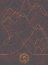 Bandana unisex J906 Panama jack Gris