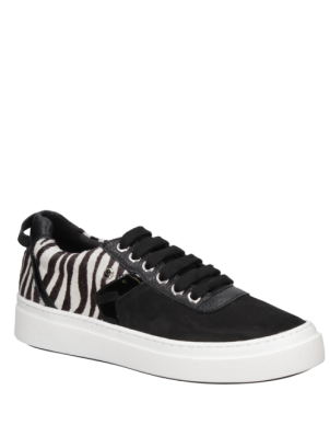 Zapatilla Urbana Mujer