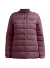 Parka Vellon L988 PANAMA JACK BURDEO