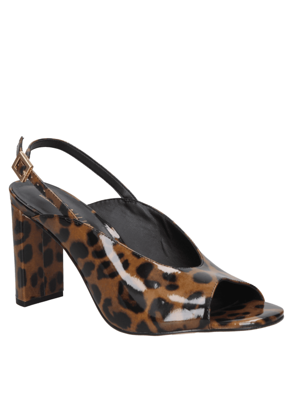 Zapato Mujer