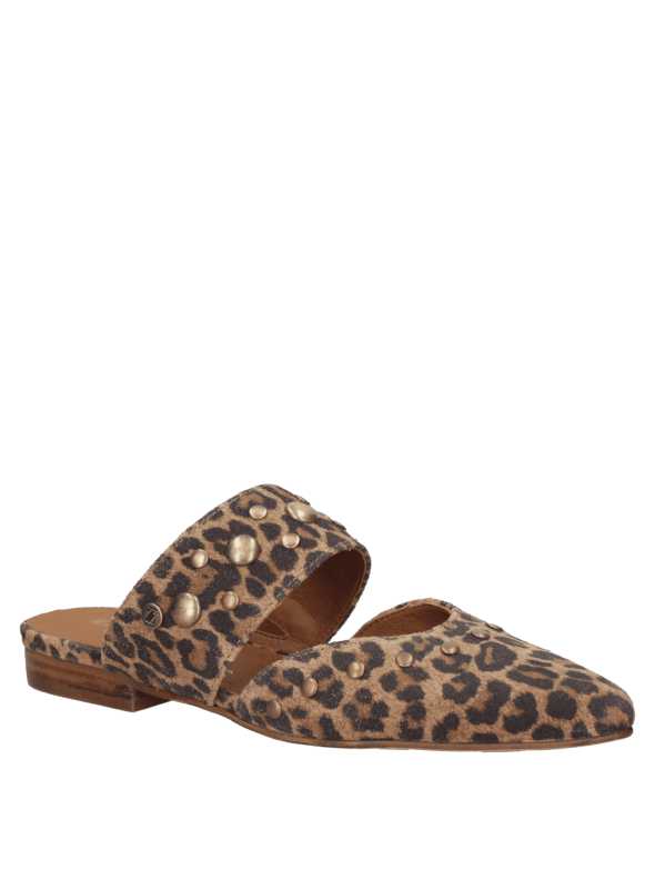 Zapato Mujer
