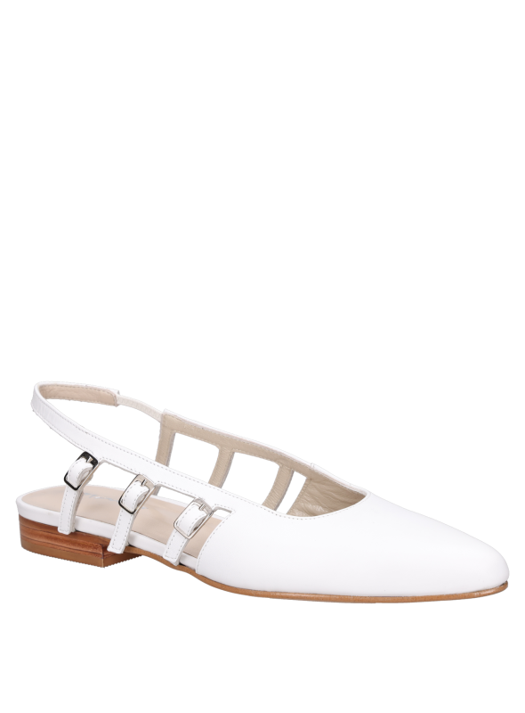 Zapato Mujer